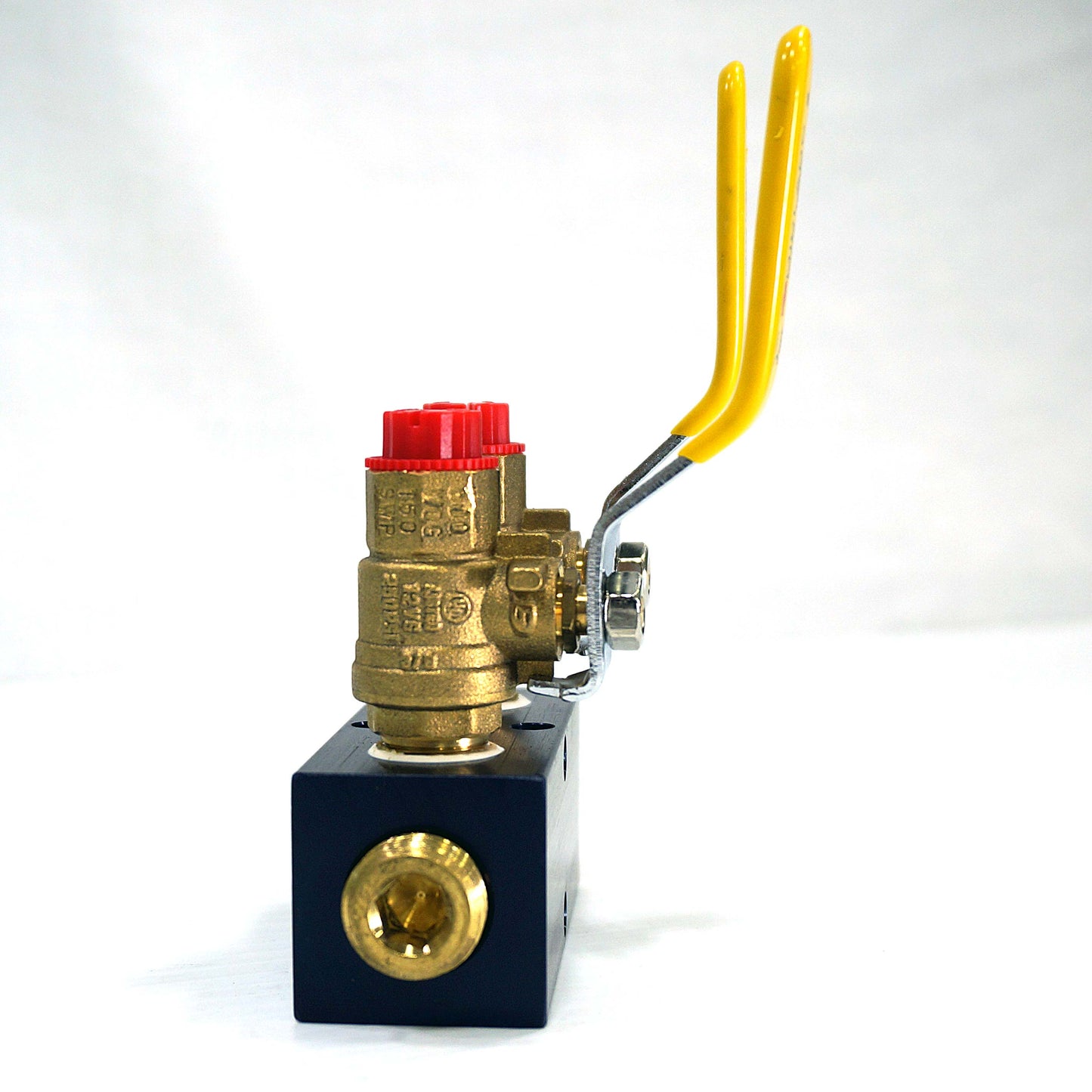 Fuel & Water Manifold - 2-Valve